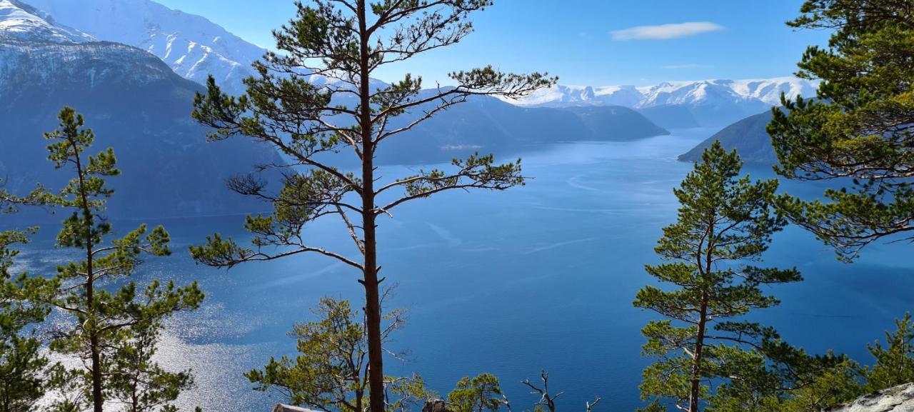 Mlodge - The Mountain Lodge Согндал Экстерьер фото
